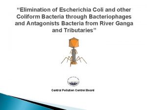 Elimination of Escherichia Coli and other Coliform Bacteria