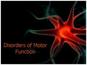 Disorders of Motor Function Motor Cortex Highest level