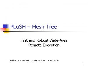 PLu SH Mesh Tree Fast and Robust WideArea
