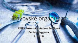 Stavovsk organizace Elika Pokorn Andrea Zemkov Dentln hygiena