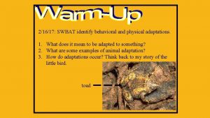 21617 SWBAT identify behavioral and physical adaptations 1