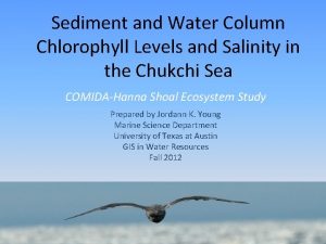 Sediment and Water Column Chlorophyll Levels and Salinity