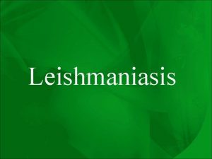 Leishmaniasis Promastigotes of Leishmania Amastigote of Leishmania The