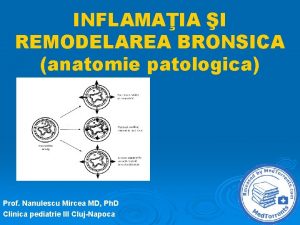 INFLAMAIA I REMODELAREA BRONSICA anatomie patologica Prof Nanulescu