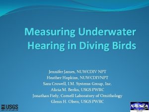 Measuring Underwater Hearing in Diving Birds Jennifer James