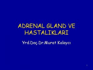 ADRENAL GLAND VE HASTALIKLARI Yrd Do Dr Murat