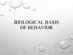 BIOLOGICAL BASIS OF BEHAVIOR THE BRAIN BRAIN IS