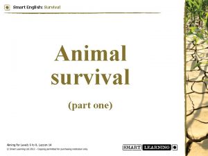 Smart English Survival Animal survival part one Aiming