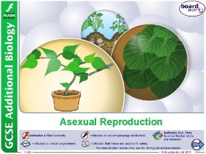 Asexual Reproduction 1 of 9 Boardworks Ltd 2011