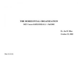 The Horizontal Organization THE HORIZONTAL ORGANIZATION MIT Course