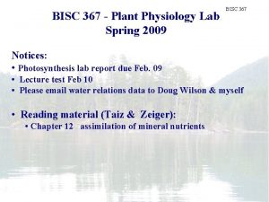 BISC 367 Plant Physiology Lab Spring 2009 Plant