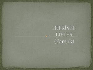 BTKSEL LFLER Pamuk Bitkisel Lifler ve zellikleri Bitkilerin