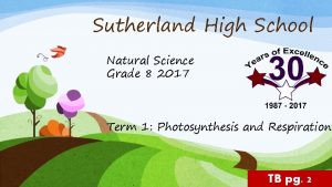 Sutherland High School Natural Science Grade 8 2017