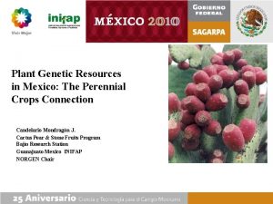 Plant Genetic Resources in Mexico The Perennial Crops