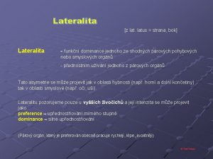 Lateralita z latus strana bok Lateralita funkn dominance