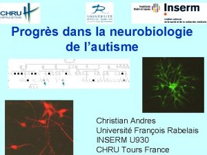 Progrs dans la neurobiologie de lautisme Christian Andres