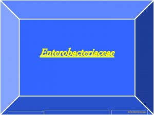 Enterobacteriaceae Enterobacteriaceae are Gram negative bacilli found as