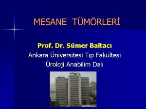 MESANE TMRLER Prof Dr Smer Baltac Ankara niversitesi