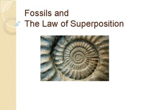 Fossils and The Law of Superposition Fossils and