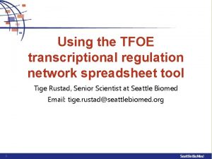 Using the TFOE transcriptional regulation network spreadsheet tool