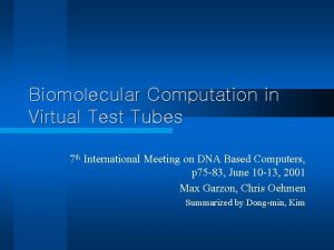 Biomolecular Computation in Virtual Test Tubes 7 th