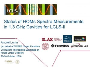 Status of HOMs Spectra Measurements in 1 3