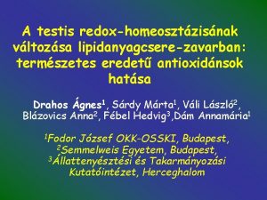 A testis redoxhomeosztzisnak vltozsa lipidanyagcserezavarban termszetes eredet antioxidnsok