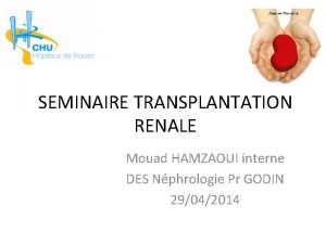 SEMINAIRE TRANSPLANTATION RENALE Mouad HAMZAOUI interne DES Nphrologie