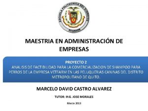 MAESTRIA EN ADMINISTRACIN DE EMPRESAS PROYECTO 2 ANALISIS