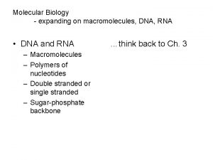 Molecular Biology expanding on macromolecules DNA RNA DNA