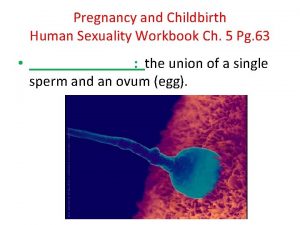 Pregnancy and Childbirth Human Sexuality Workbook Ch 5