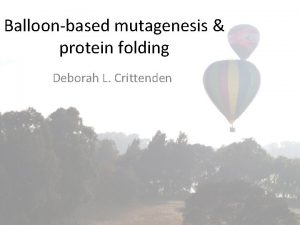 Balloonbased mutagenesis protein folding Deborah L Crittenden Why