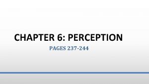 CHAPTER 6 PERCEPTION PAGES 237 244 Perception The