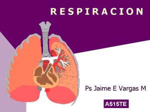RESPIRACION Ps Jaime E Vargas M A 515