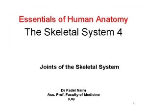 Essentials of Human Anatomy The Skeletal System 4