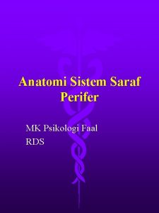 Anatomi Sistem Saraf Perifer MK Psikologi Faal RDS