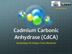 www ionicviper org Cadmium Carbonic Anhydrase Cd CA
