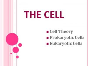 THE CELL Cell Theory Prokaryotic Cells Eukaryotic Cells