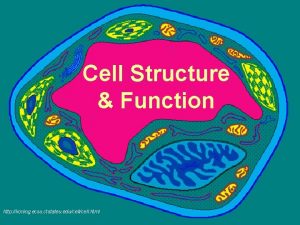 Cell Structure Function http koning ecsu ctstateu educell