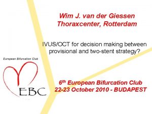 Wim J van der Giessen Thoraxcenter Rotterdam IVUSOCT