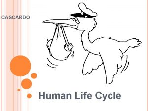 CASCARDO Human Life Cycle BEGINNING OF LIFE Development