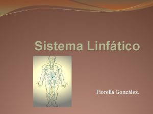 Sistema Linftico Fiorella Gonzlez Sistema linftico Es el