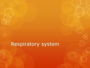 Respiratory system The primary function of the respiratory
