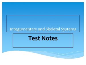 Integumentary and Skeletal Systems Test Notes Skeletal System