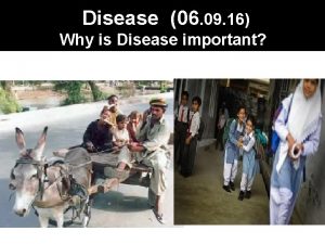 Disease 06 09 16 Why is Disease important
