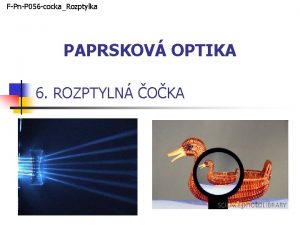 FPnP 056 cockaRozptylka PAPRSKOV OPTIKA 6 ROZPTYLN OKA