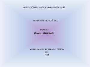 INSTITUCIN EDUCATIVA SILVINO RODRIGUEZ HERBARIO ETNOBOTNICO ROMERO Romero