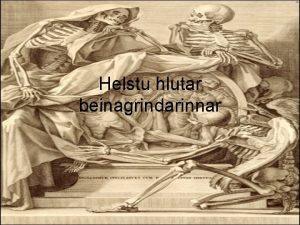 Helstu hlutar beinagrindarinnar Beinagrindin Samtals hefur fullorinn einstaklingur