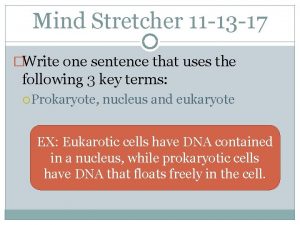 Mind Stretcher 11 13 17 Write one sentence