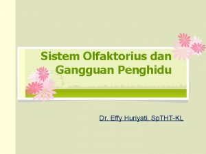 Sistem Olfaktorius dan Gangguan Penghidu Dr Effy Huriyati
